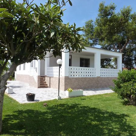 Chalet Verde Табернес-де-Вальдигна Экстерьер фото